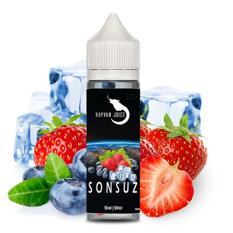 HAYVAN JUICE Sonsuz Aroma 10ml HAYVAN JUICE Sonsuz Aroma 10ml