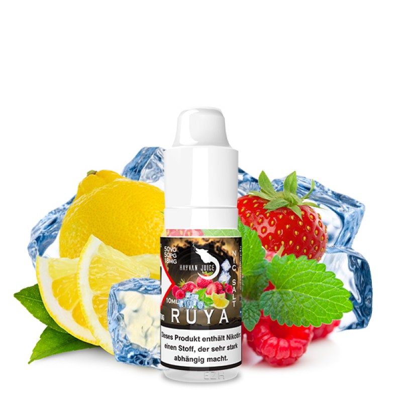 HAYVAN JUICE Rüya Nikotinsalz Liquid 10ml