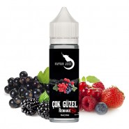 HAYVAN JUICE Cok Güzel Remake 31er Aroma 10ml